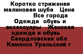 Коротко стриженая малиновая шуба › Цена ­ 10 000 - Все города Одежда, обувь и аксессуары » Женская одежда и обувь   . Свердловская обл.,Каменск-Уральский г.